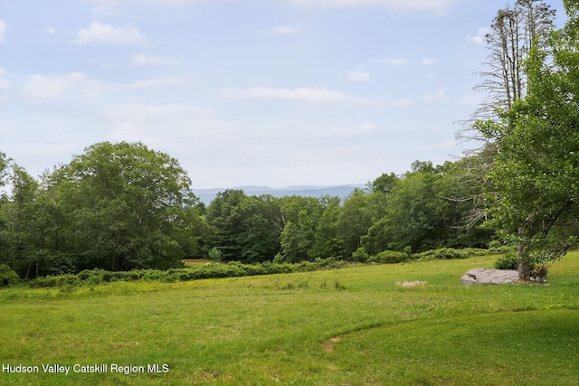 11-13 Heyden Rd, Shokan, NY 12481 - photo 35