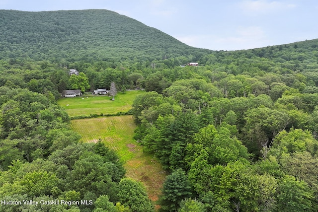 11-13 Heyden Rd, Shokan, NY 12481 - photo 46