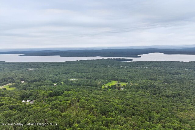 11-13 Heyden Rd, Shokan, NY 12481 - photo 33