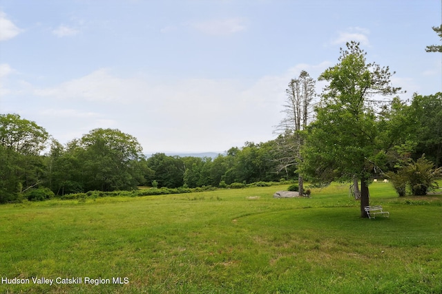 11-13 Heyden Rd, Shokan, NY 12481 - photo 36