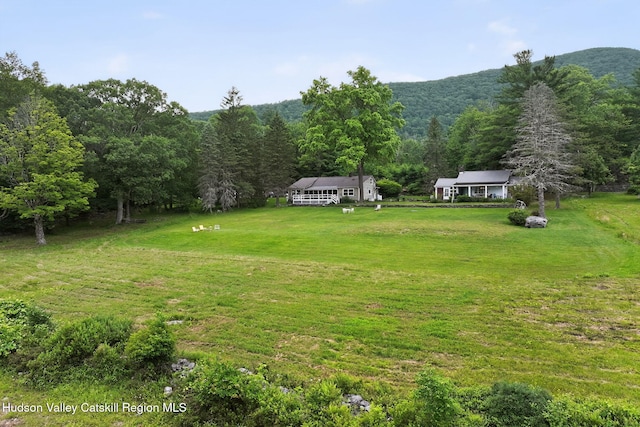 11-13 Heyden Rd, Shokan, NY 12481 - photo 51