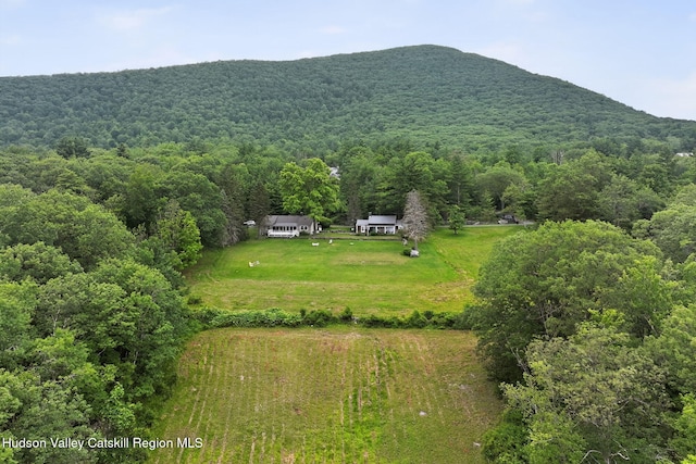 11-13 Heyden Rd, Shokan, NY 12481 - photo 1