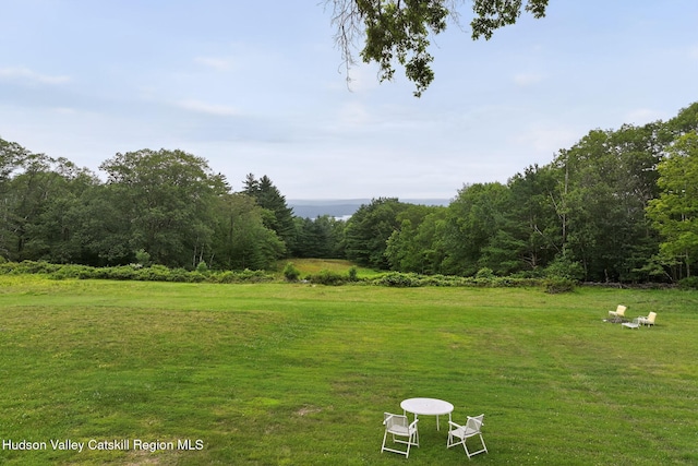 11-13 Heyden Rd, Shokan, NY 12481 - photo 43