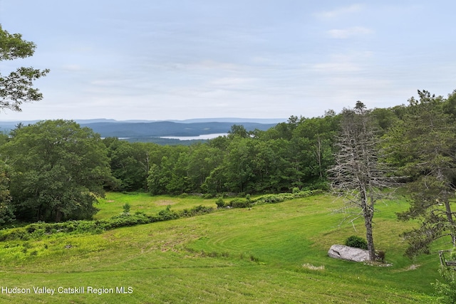 11-13 Heyden Rd, Shokan, NY 12481 - photo 32