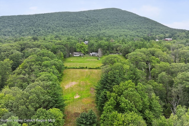 11-13 Heyden Rd, Shokan, NY 12481 - photo 48