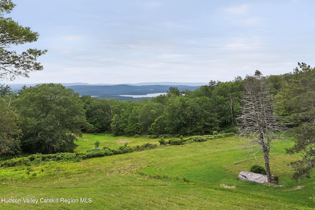11-13 Heyden Rd, Shokan, NY 12481 - photo 40