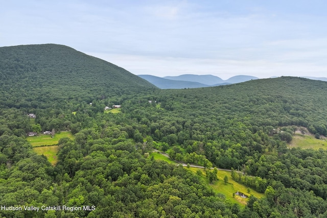 11-13 Heyden Rd, Shokan, NY 12481 - photo 42