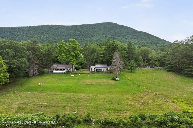 11-13 Heyden Rd, Shokan, NY 12481 - photo 41