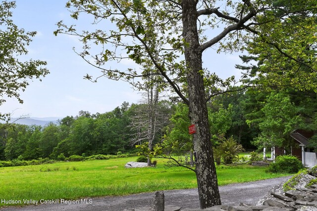 11-13 Heyden Rd, Shokan, NY 12481 - photo 39