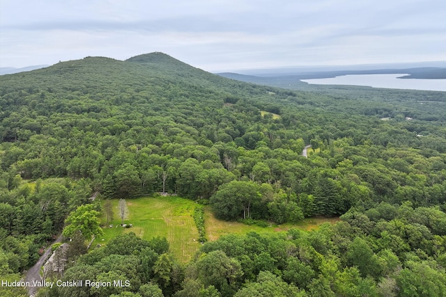 11-13 Heyden Rd, Shokan, NY 12481 - photo 47