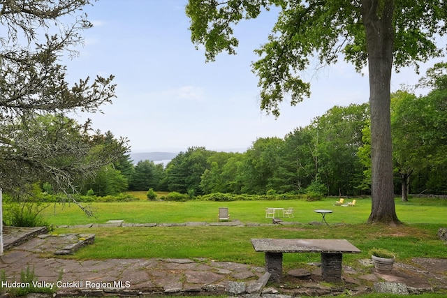 11-13 Heyden Rd, Shokan, NY 12481 - photo 44