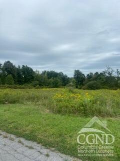 265 Skyview Dr, Greenville, NY 12083
