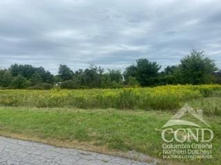 265 Skyview Dr, Greenville, NY 12083