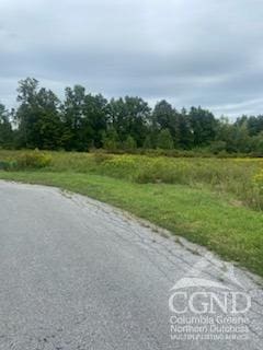 265 Skyview Dr, Greenville, NY 12083