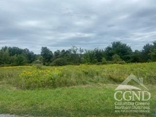 265 Skyview Dr, Greenville, NY 12083
