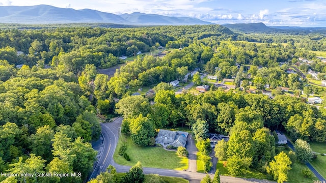 birds eye view of property featuring a mountain view