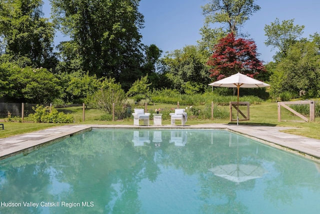 1114 County Route 3, Ancram, NY 12502 - outdoor pool featuring view of wooded area