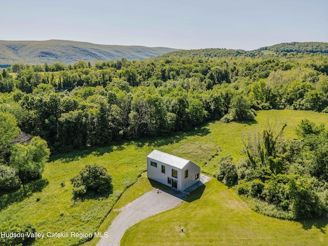 1114 County Route 3, Ancram, NY 12502 - view from above of property featuring a forest