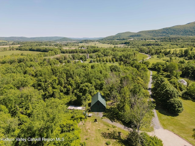 1114 County Route 3, Ancram, NY 12502 - drone / aerial view of mountains