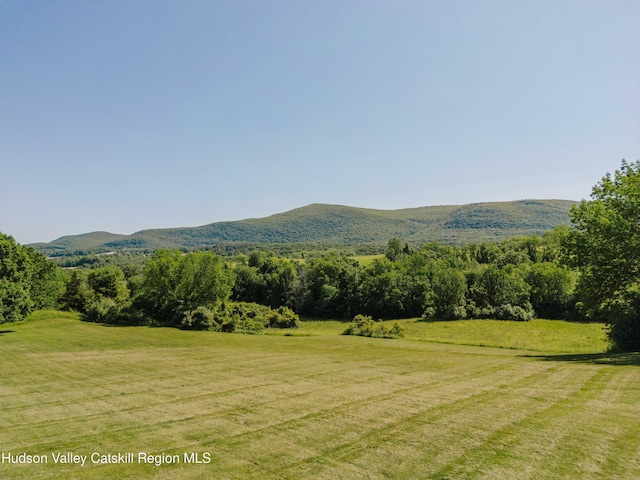 1114 County Route 3, Ancram, NY 12502 - view of mountain background