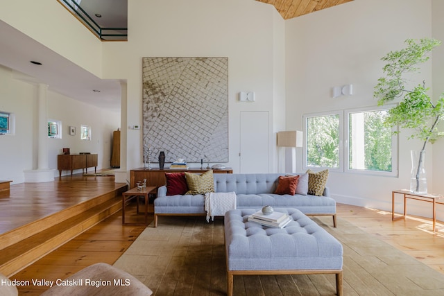 1114 County Route 3, Ancram, NY 12502 - living room with a towering ceiling and hardwood / wood-style flooring