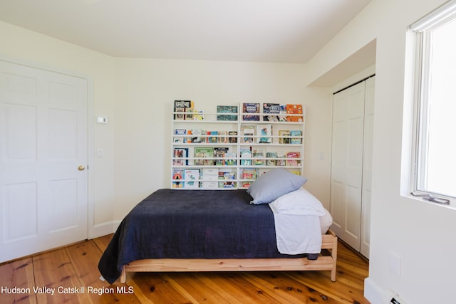 1114 County Route 3, Ancram, NY 12502 - bedroom with wood finished floors and a closet