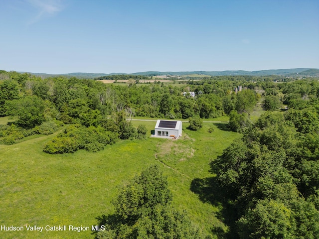 1114 County Route 3, Ancram, NY 12502 - view of subject property with a forest