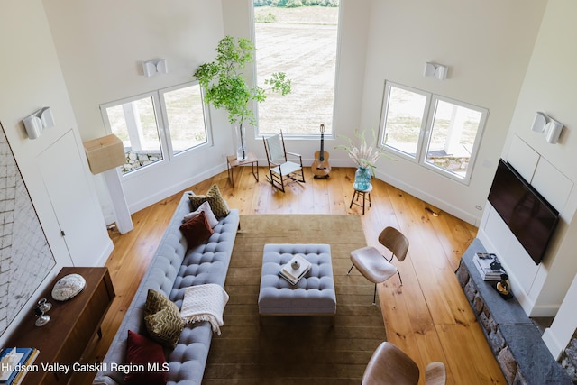 1114 County Route 3, Ancram, NY 12502 - living room featuring a high ceiling and wood finished floors