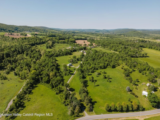 1114 County Route 3, Ancram, NY 12502 - bird's eye view of a heavily wooded area