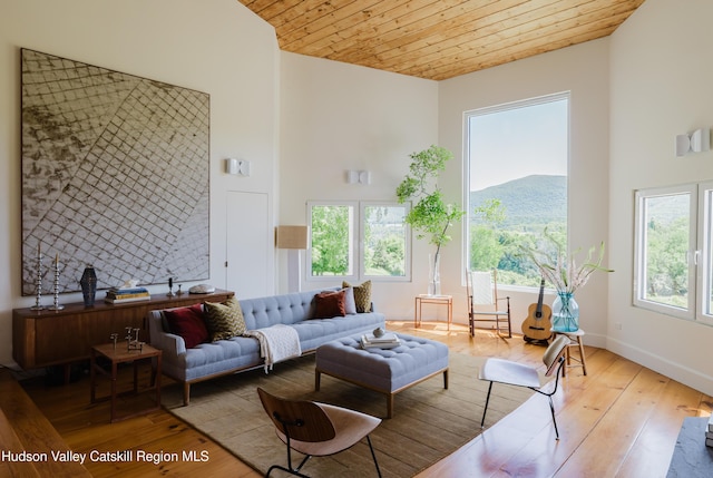 1114 County Route 3, Ancram, NY 12502 - living area featuring wood-type flooring, wood ceiling, and lofted ceiling