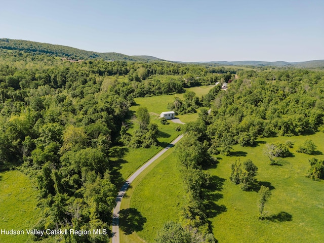 1114 County Route 3, Ancram, NY 12502 - bird's eye view of a heavily wooded area