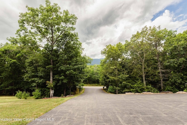 1180 Bogart Rd, Palenville, NY 12463 - photo 3