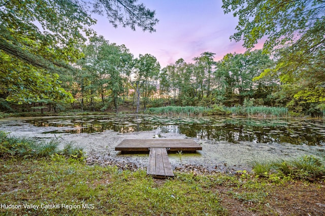 dock area featuring a water view