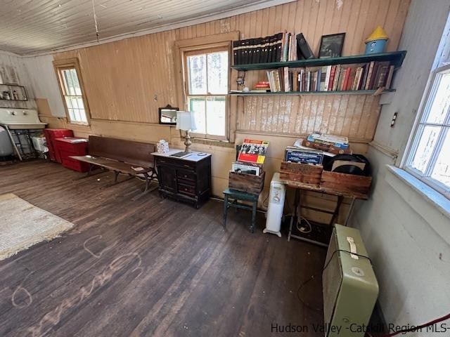 misc room featuring dark wood-type flooring