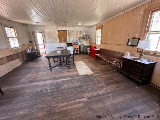 dining room featuring dark wood-type flooring