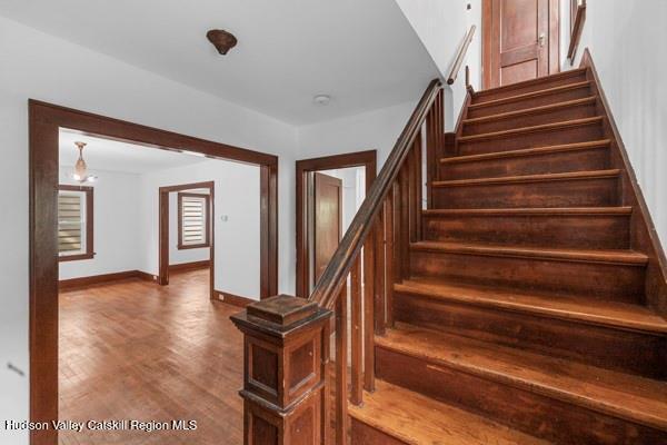 13 N Manheim Blvd, New Paltz, NY 12561 - photo 7