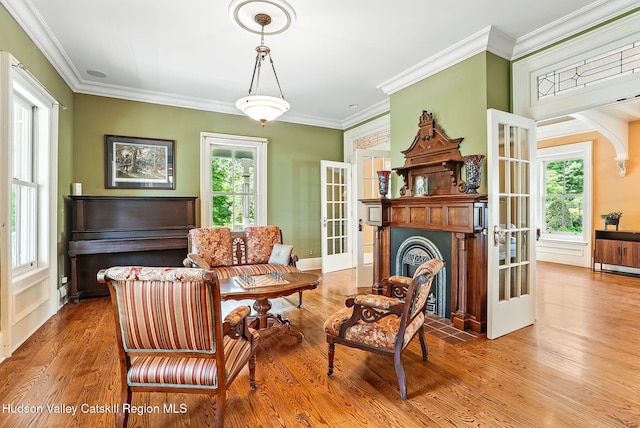 125 Bedell Rd, Poughkeepsie Town, NY 12603 - living room featuring wood finished floors, healthy amount of natural light, french doors, ornamental molding, and a fireplace