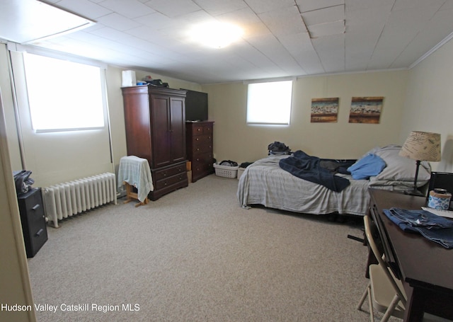 171 State Route 208, New Paltz, NY 12561 - bedroom featuring radiator heating unit, light colored carpet, and ornamental molding