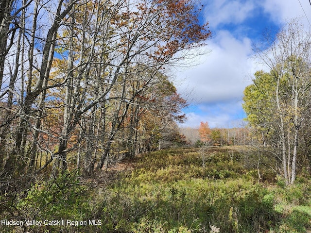 Listing photo 2 for Tbd Dimmick Mountain Road, Fleischmanns NY 12430