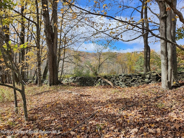 Tbd Dimmick Mountain Road, Fleischmanns NY, 12430 land for sale