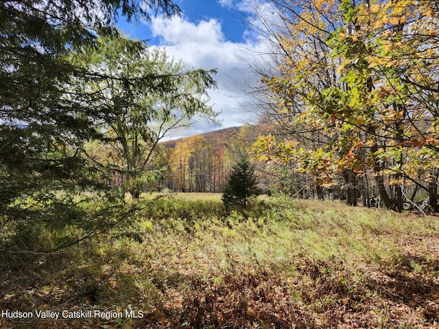 Listing photo 3 for Tbd Dimmick Mountain Road, Fleischmanns NY 12430