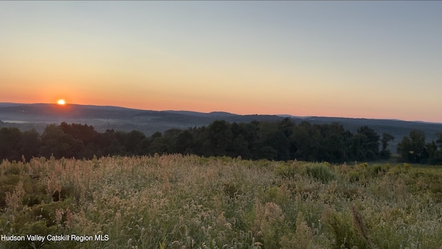 0 County Route 28-a, Chatham Center, NY 12184