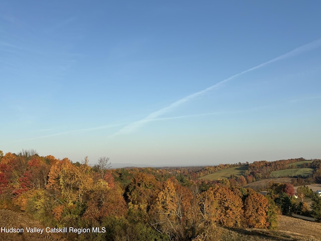 0 County Route 28-a, Chatham Center, NY 12184