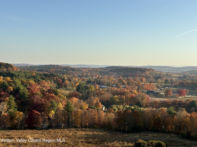 0 County Route 28-a, Chatham Center, NY 12184