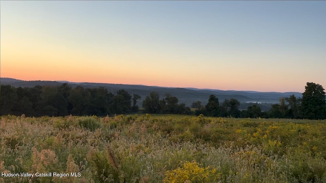 0 County Route 28-a, Chatham Center, NY 12184