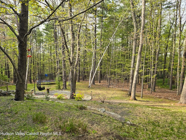 view of yard featuring a trampoline and a forest view