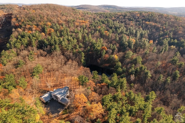 35 Harlemville Rd, Claverack, NY 12529 - photo 40