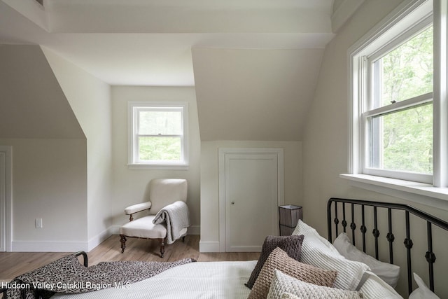 55 Ginger Rd, High Falls, NY 12440 - bedroom with wood finished floors, baseboards, and vaulted ceiling