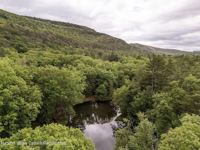 55 Ginger Rd, High Falls, NY 12440 - view of mountain background with a forest and a nearby body of water
