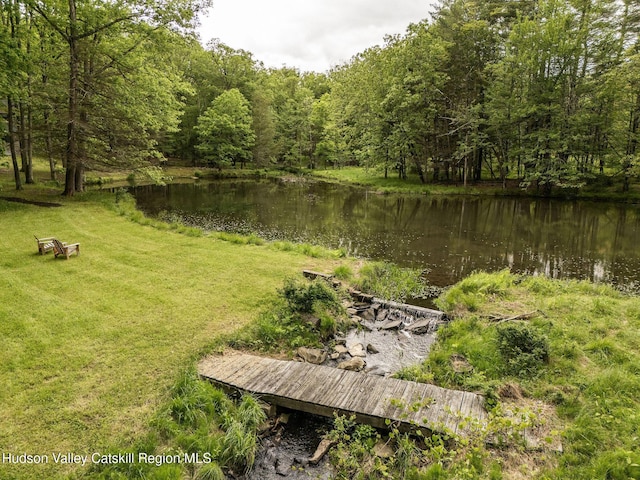 55 Ginger Rd, High Falls, NY 12440 - view of grassy yard featuring a water view and a view of trees